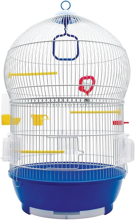 advance large breed chicken