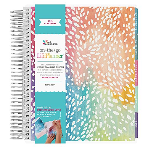 2019 12 Month Jan Dec Lifeplanner Painted Petals Hourly Colorful Layout