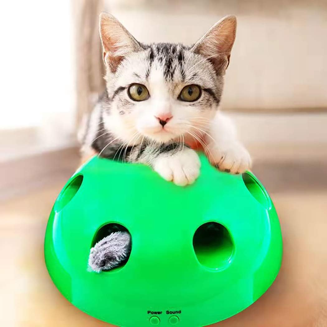 pop n play cat toy amazon