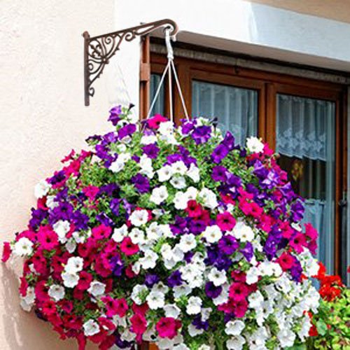 Cast Iron Plant Hook Hanger 12" Deep Outdoor Indoor Wall Hanging Planters Flower Flowering Plants Pot Basket Hook Bird Feeder Wind Chime Lanterms Hanger Hardware Bracket (12" Deep) - Thumbnail 3