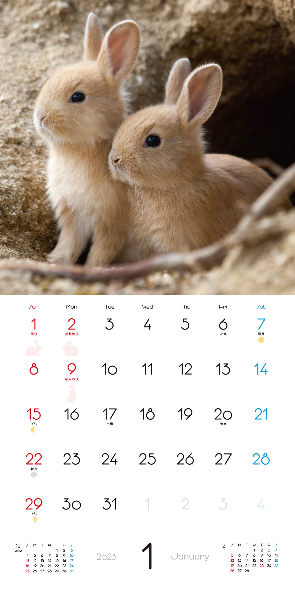 毎年好評 輸入カレンダー 23年 うさぎ かわいい たれ耳 ウサギ エーボンサイド カレンダー スクエアタイプ ペットカレンダー ロップイヤー 中綴じ 令和5年 兎 動物 干支 暦 月めくり 輸入 １着でも送料無料 ウサギ