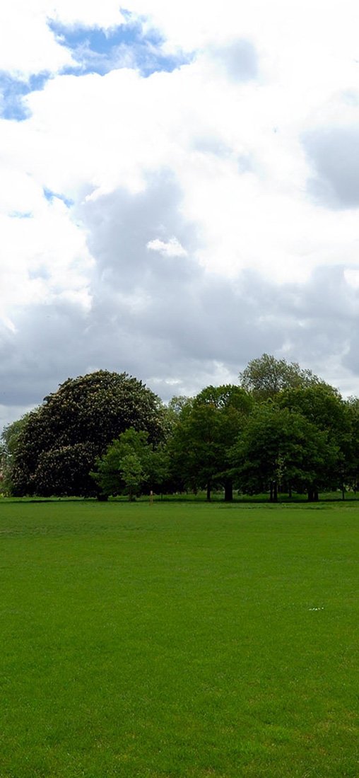 PeelitStickit, Beautiful Nature Wall Murals, ID-3146, vinyl