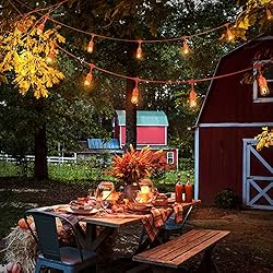 addlon 96 FT (2x48FT) Outdoor String Lights