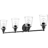 Acclaim Lighting IN41403BK Transitional, Black