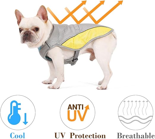 best cooling jacket for dogs
