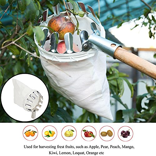 STARRICH Fruit Picker Head Basket or Fruit Picking Tools, Fruits Catcher for Harvest Picking Apple Citrus Pear Peach, etc