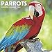 Parrots 2016 Calendar