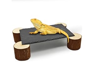GXSDJ Bearded Dragon Basking Platform with Wooden Pile,Reptiles Hideout Cave,Turtle Basking Rock,Terrarium Habitat Decor Tank