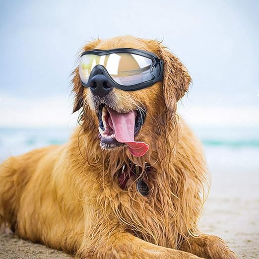 Samtlan Hundebrille, HaustierSonnenbrille, UVSonnenbrille Wasserdicht