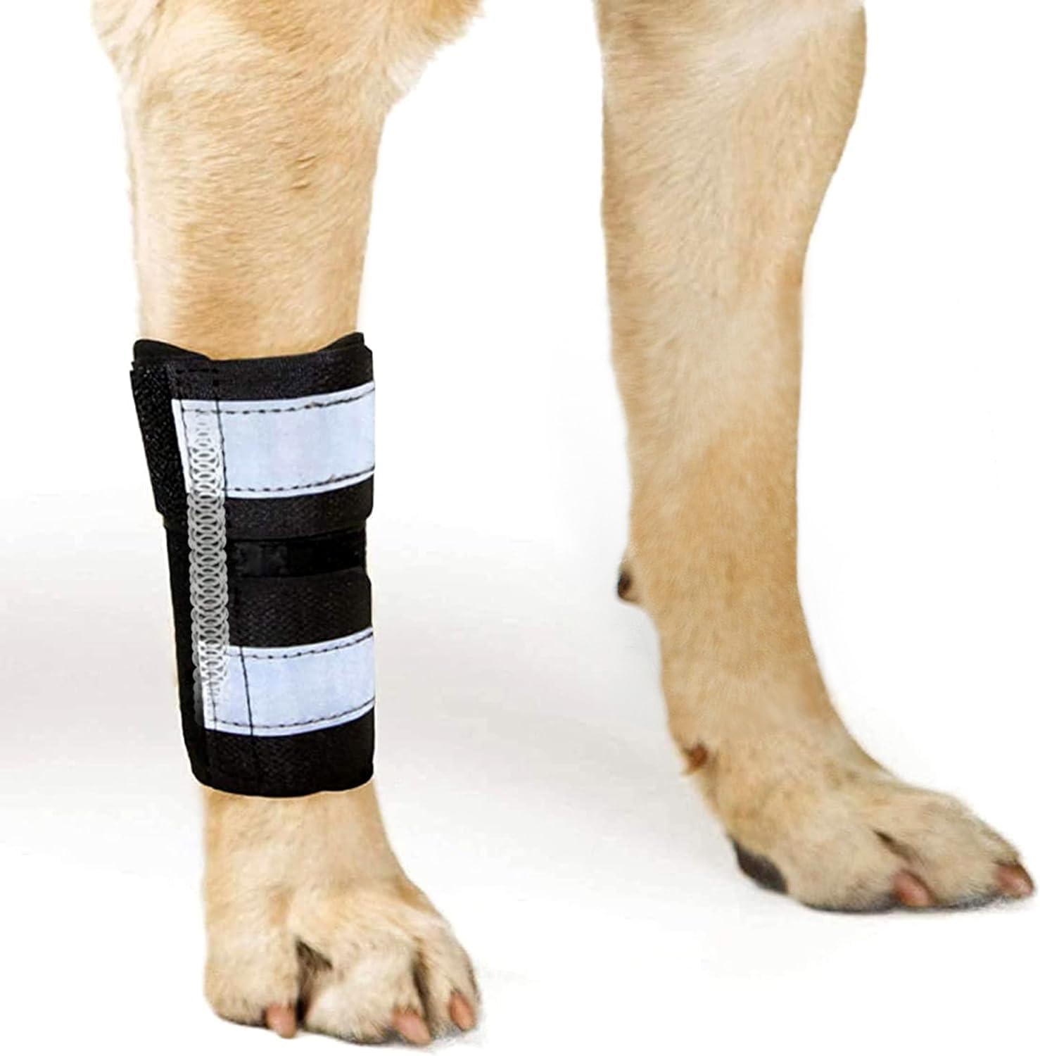 Photo 1 of NeoAlly- Front Leg Brace for Dogs & Cats, Dog Leg Brace with Metal Spring Inserts, Dog Leg Sleeve for Carpal Support, Dog Leg Sleeve with Reflective Straps, XXS to XS, Right Leg