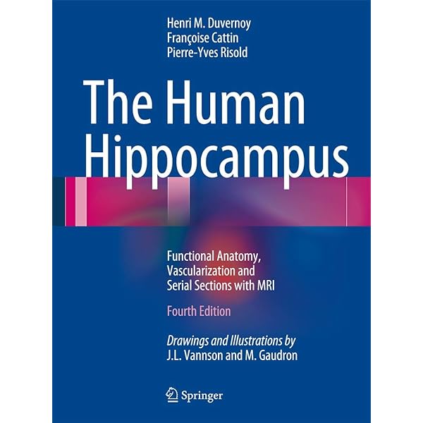 Amazon.com: Making Human Beings Human: Bioecological