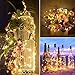 Brizled Wine Bottle Lights with Cork, 20 LED Starry String Lights, 8 Pack Battery Operated Lights for Party, Wedding, Outdoor and Indoor Decorations, Warm White