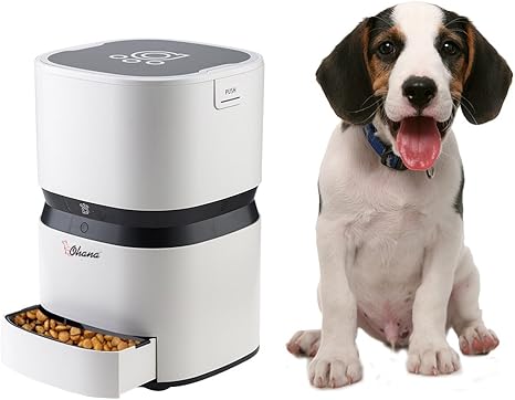 Ohana Distributeur Automatique De Nourriture Pour Chat Et