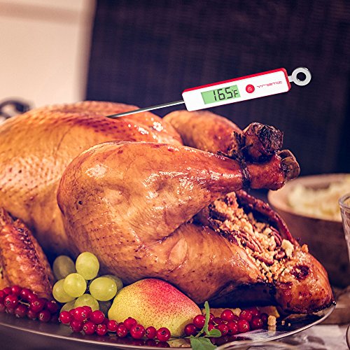 website template image