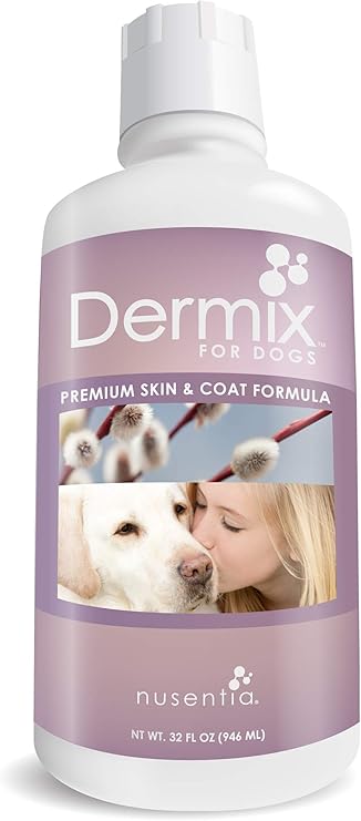 best supplement for itchy dog