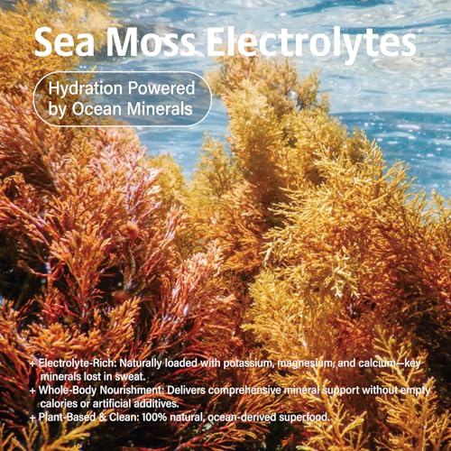 VDY Sea Moss Electrolytes Powder Packets - Hydration Packets Sugar Free - Electrolyte Packets with 30 Sticks - Zero Sugar & 0 Calorie - Keto Friendly - Gluten Free Drink Mix - Mango Pineapple