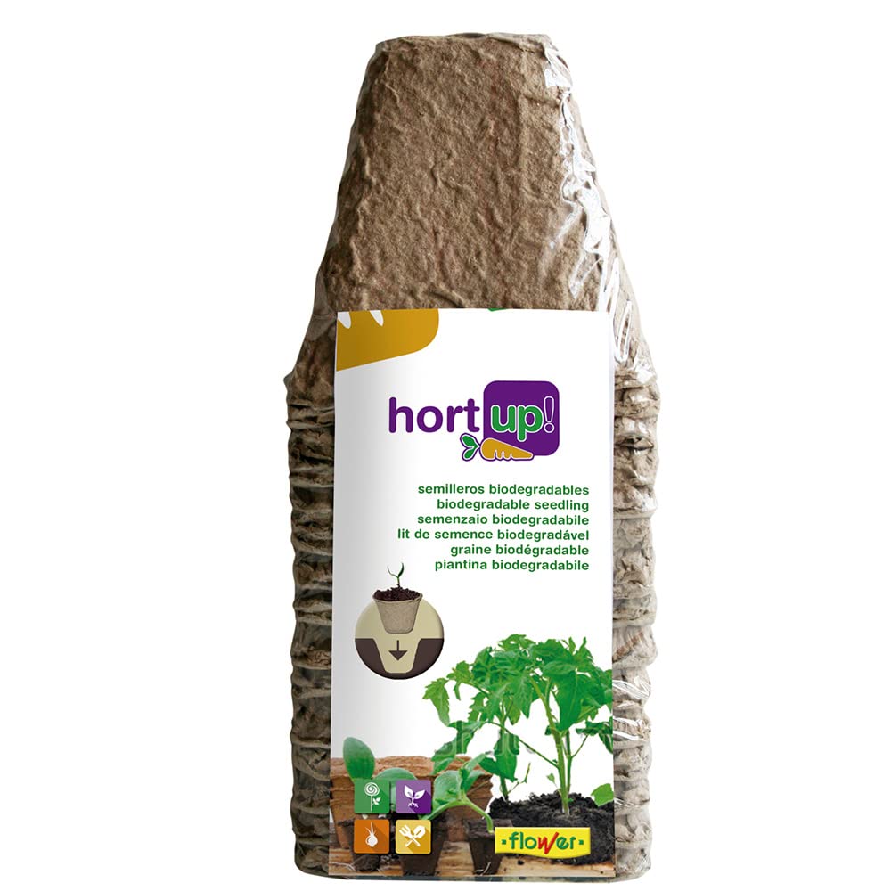 Flower 55043 – Seedlings Biodegradable Square, Pack of 18, Brown, 8x8 cm