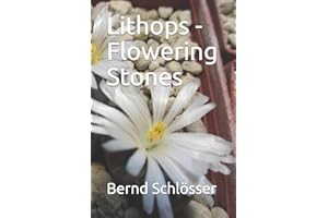 Lithops - Flowering Stones