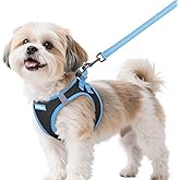 rabbitgoo Dog Harness Small Sized and Leash Set, Step-in Breathable Pet Harness, Soft Walking Reflective Puppy Vest for Small Dogs, Black & Light Blue, S
