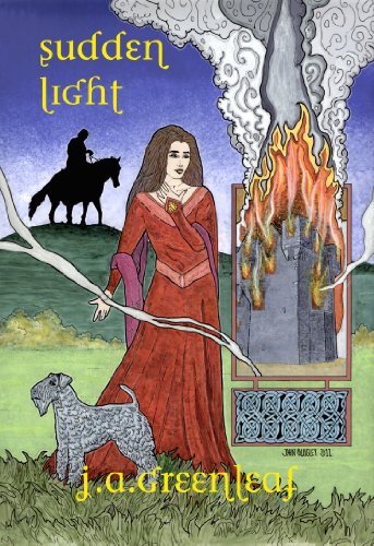 Sudden Light: Donegal's Novel