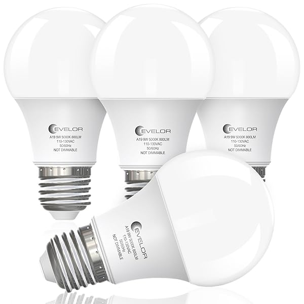 EVELOR A19 LED LIGHT BULBS,60 WATT EQUIVALENT DAYLIGHT...