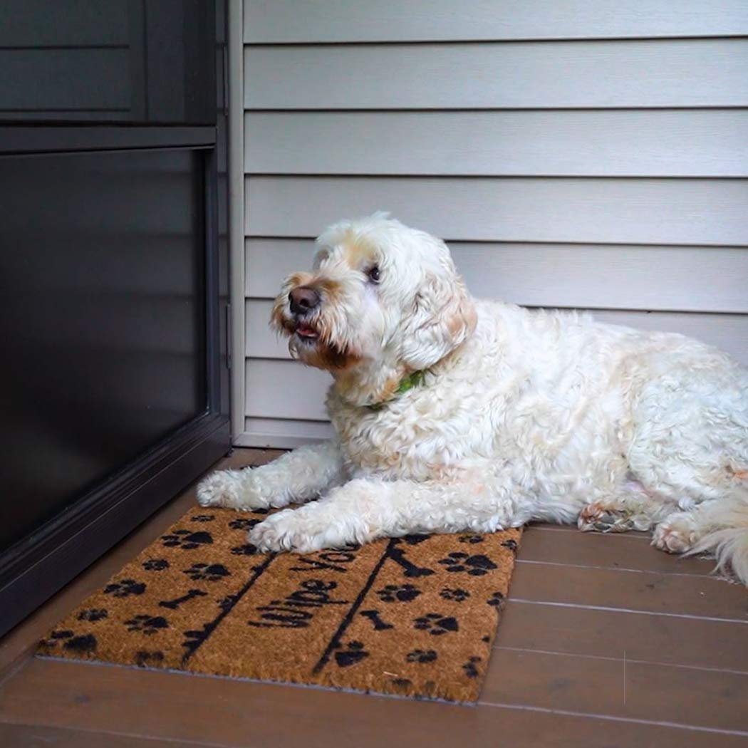 View 4