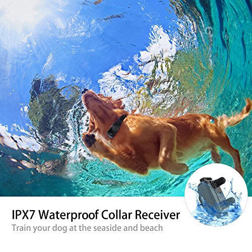YISENCE Dog Training Collar, Dog Shock Collar with Remote 2500FT Shock Collar for Dogs IPX7 Waterproof Rechargeable w/Beep 99 Levels Vibrate Shock Modes Shock Collar for Small Dogs Medium Large Dogs