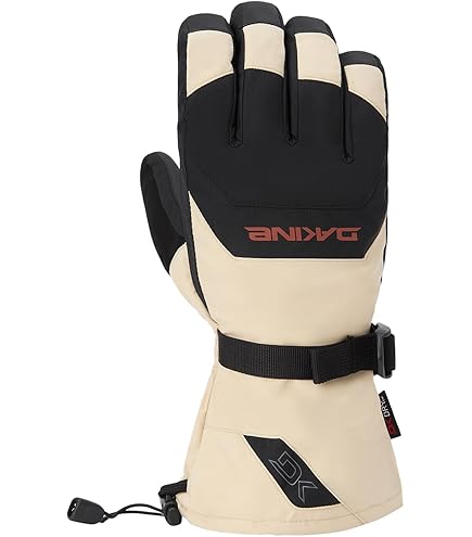 Amazon.com : Dakine Team Phoenix Gore-Tex Glove - Sammy Carlson
