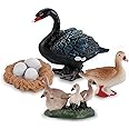 Life Cycle of Swan Toys Black Geese Figurines Realistic Farm Animals Preschool Animals Figures Eduactional Project Diorama Model Toy for Kids