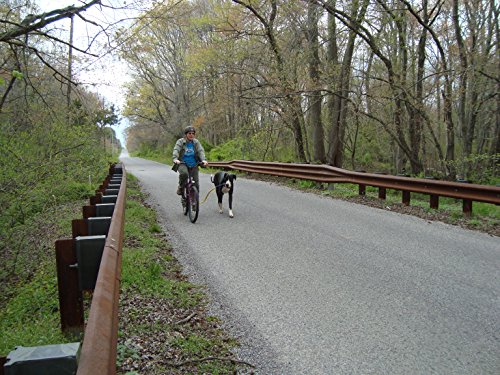 Bike Tow Leash - Yellow