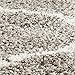 SAFAVIEH Hudson Shag Collection Area Rug - 6' x 9', Grey & Ivory, Moroccan Ogee Trellis Design, Non-Shedding & Easy Care, 2-inch Thick Ideal for High Traffic Areas in Living Room, Bedroom (SGH280B)