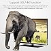 2016 Newest puersit Q1 Pro Android TV Box rk3229 1G/8G Quad-Core Miracast 4 K/2 K 3d 2.4G Wifi,Update from Q Pro, LAN HD USB Dongle