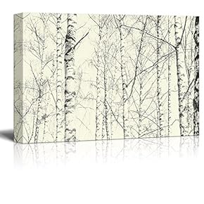 Tall Trees in Winter