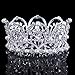 Stuffwholesale Girl Tiaras Silver Rhinestone Crystal Crown Pearl Prom Party Hair Wear with Bobby Pins (Crystal )
