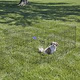 MidWest Homes for Pets Folding Metal Dog Exercise Pen 61cm Tall 1.5m Space view 2