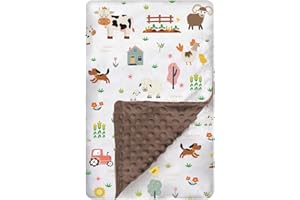 BUTTZO Baby Blanket for Boys Girls Double Layer Soft Plush Minky Blanket with Dotted Backing, Toddler Baby Newborn Blanket Shower Gifts (Farm, 30 X 40 inch)
