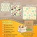 Reusable Beeswax Food Storage Wraps - 6 Pack - Eco-Friendly Wax Sandwich Wrap and Bowl Cover - Healthy Alternative To Saran Wrap - 2 Large, 2 Medium, 2 Small, 1 Cotton Produce Bag