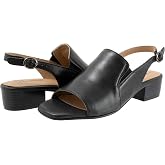 Trotters Nila