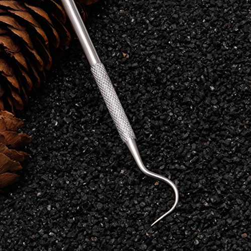 Hot Double Hook Tooth Dental Explorer Probe Materials Dentalist Dentist Tool Set