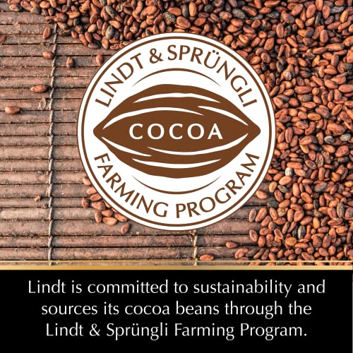 Lindt EXCELLENCE 78 Cocoa Dark Chocolate Bar, Mother's Day Chocolate