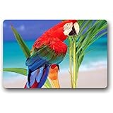 Hi,Doormat Parrot Doormat Outdoors/Indoor Machine Washable Home Floor Mats Rugs 23.6 x 15.7 Inches