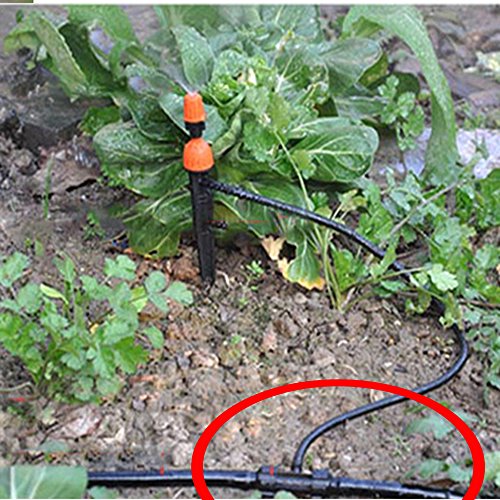 4 SdeNow+Irrigation+tubing+0+31+Watering