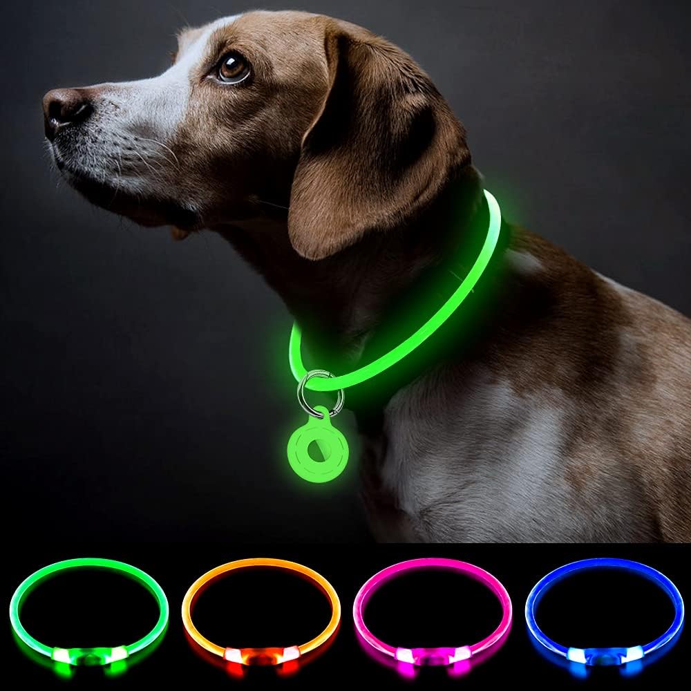 pet collar light