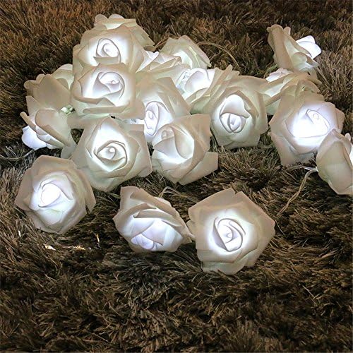 MMLC Window Curtain Lights, 20 LED Beads, USB Charging Battery Powered String Rose Fairy Lights, Warm White, Light for Christmas/Wedding/Party/Garden (White)
