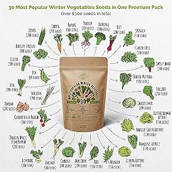 30 Most Popular Winter Vegetable Garden Seeds