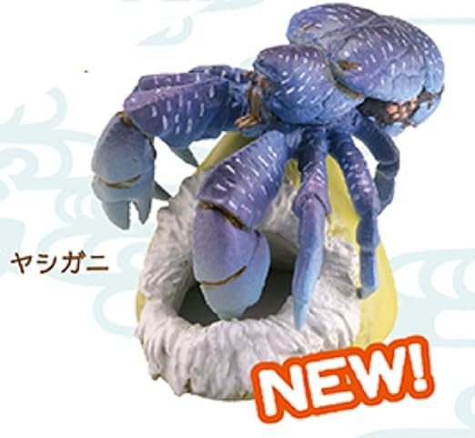 Amazon 海洋堂 沖縄フィギュアみやげ シーズン3 ヤシガニ Kaiyodo ラッキードロップ フィギュア ドール 通販 Amazon 海洋堂 沖縄フィギュアみやげ シーズン3 ヤシガニ Kaiyodo ラッキードロップ フィギュア ドール 通販