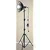 Art Studio Lamp/Lighting
