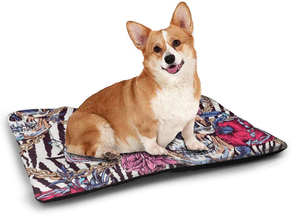 Amazon Com Ghaq Skull With Roses Chains Pet Dog Bed Mat Soft Anti Slip Luxury Kennel Pad Available In Multiple Styles Sizes Pet Supplies