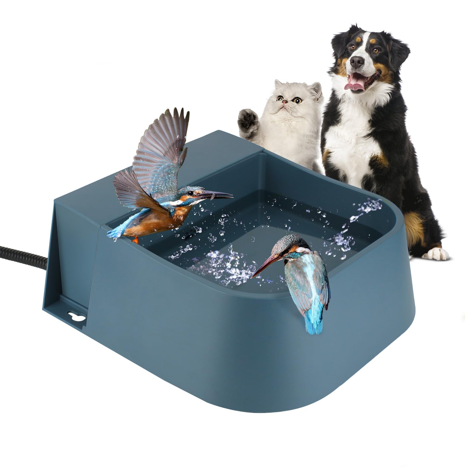 Photo 1 of Enjoying Automatic Heated Waterer Chickens, Outside Cat Heated Water Bowl, Auto-Fill Water Dispenser Heater for Dogs Rabbits, Pet Heated Watering Trough Dish for Bird Bath, Ice-Free