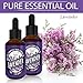 Lavender Essential Oil [Relaxing Scent] - Glass Amber Bottle with DropperOrganic Pure Therapeutic French for Diffuser, Aromatherapy, Headache, Pain, Sleep-Perfect for Candles & Massage (1-oz)